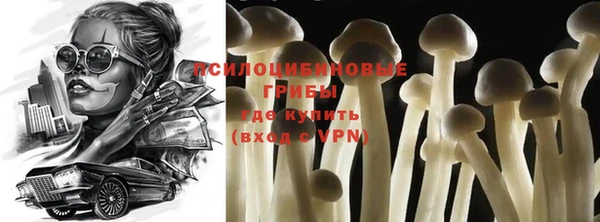 кокс Михайлов