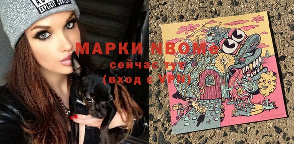 кокс Михайлов
