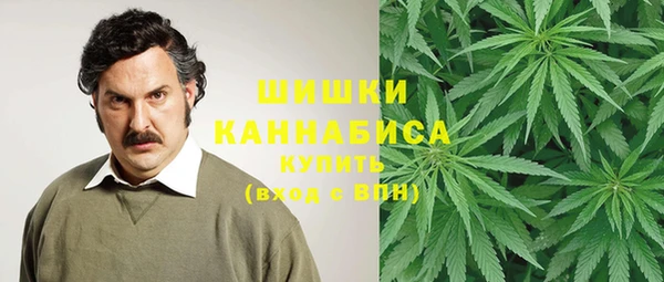 стаф Михайловск