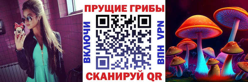 mega рабочий сайт  магазин продажи   Болохово  Галлюциногенные грибы мицелий 